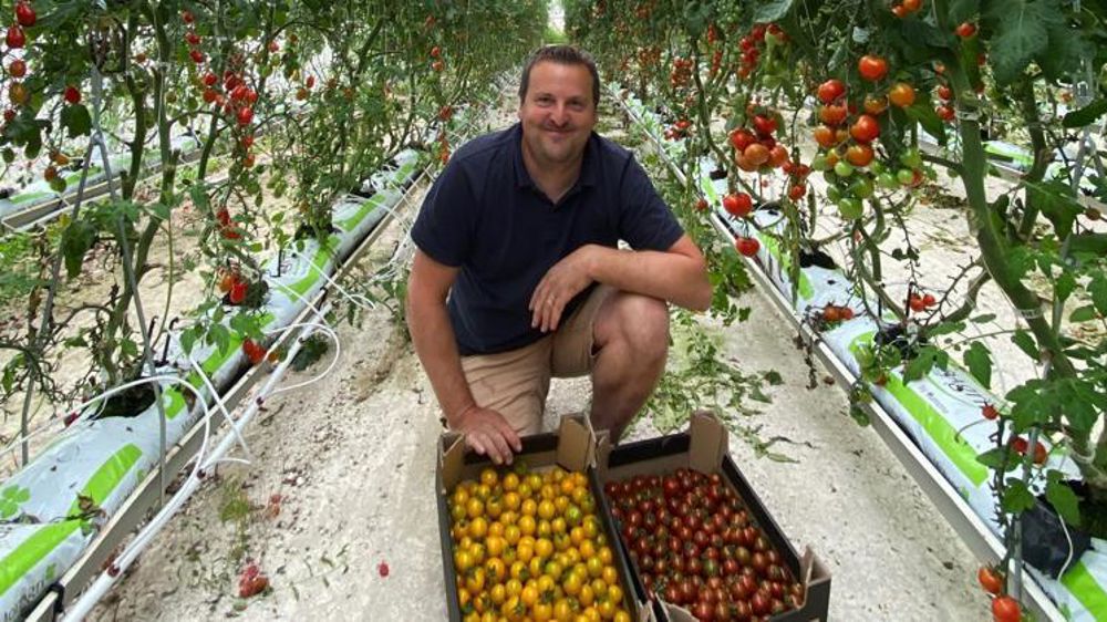 Séverin Dubois écoule une grande partie de ses fruits et légumes grâce au pôle distribution alimentaire du groupe Advitam (Unéal). © SD